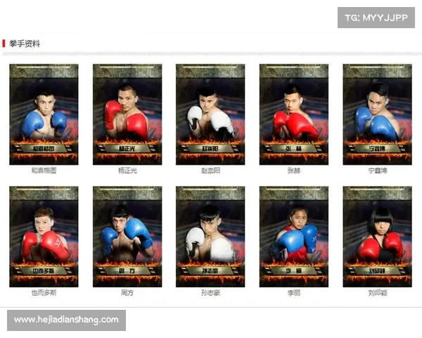 拳击赛事体系有哪些